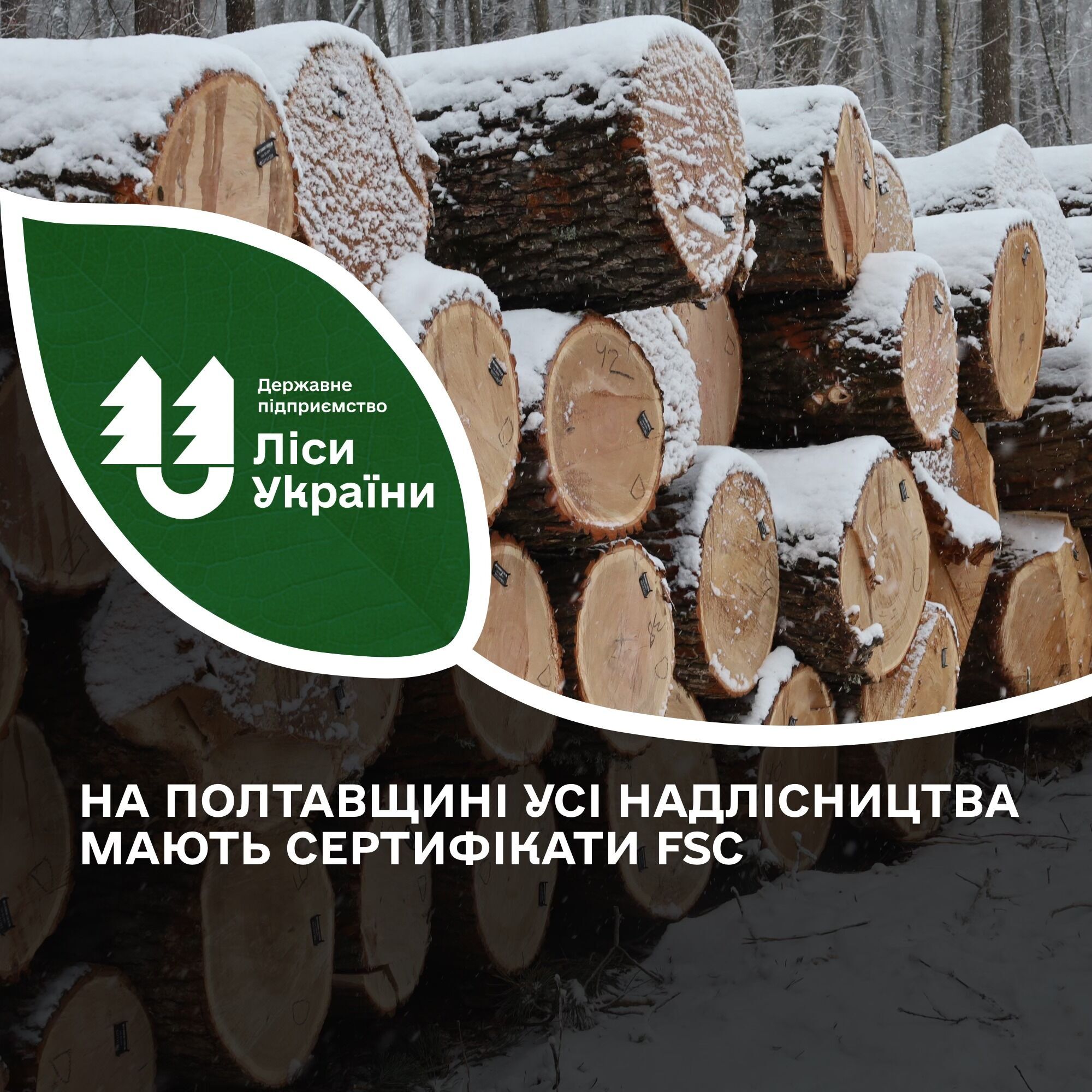 ''Іваніна Дмитро: кожного дня діловий дуб пиляють на дрова і вивозять'', – чат-бот СтопКору
