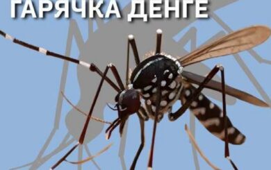 Во Львовской области зарегистрировали случай тропической лихорадки Денге