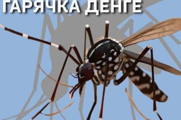 У Львівській області зареєстрували випадок тропічної гарячки Денге