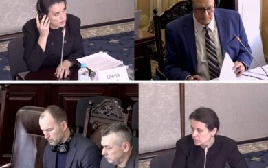 Кандидат у судьи ВАКС Елена Роик приобрела Aston Martin за 14 млн грн: соответствуют ли доходы расходам?