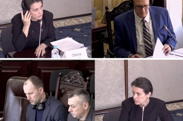 Кандидатка у судді ВАКС Олена Роїк придбала Aston Martin за 14 млн грн: чи відповідають доходи витратам?