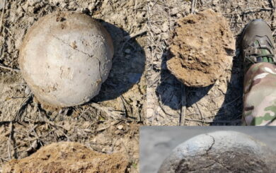 Военные в Киевской области нашли кость мамонта 25 000 лет – ученые ищут палеолитическую стоянку