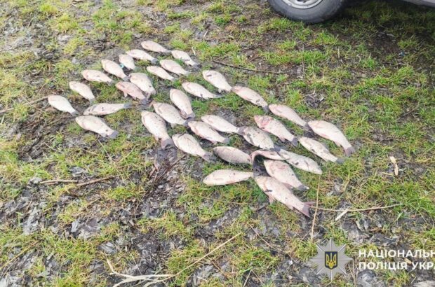 Браконьєри на Київщині ”наловили” на понад 91 тисячу: поліція викрила порушників під час нересту