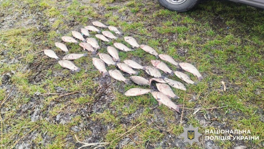 Браконьеры на Киевщине »наловили» более 91 тысячи: полиция разоблачила нарушителей во время нереста