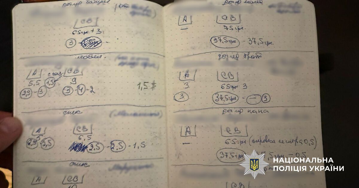 Фиктивная опека за $8 тысяч: в Киеве разоблачили схему уклонения от мобилизации (видео)