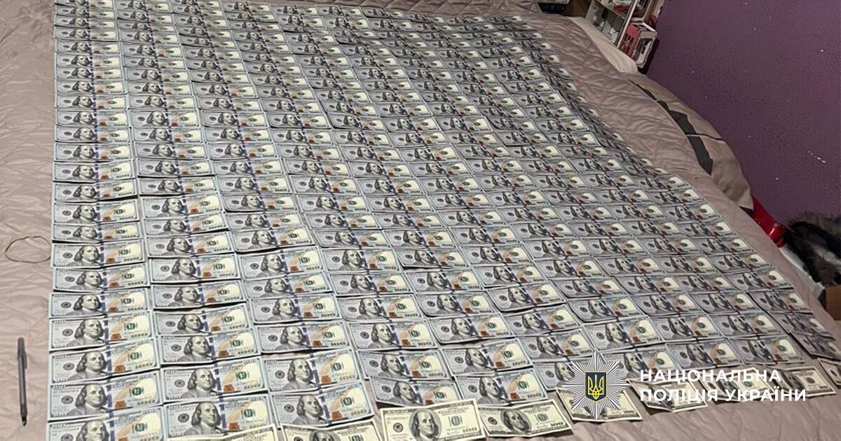 Фиктивная опека за $8 тысяч: в Киеве разоблачили схему уклонения от мобилизации (видео)
