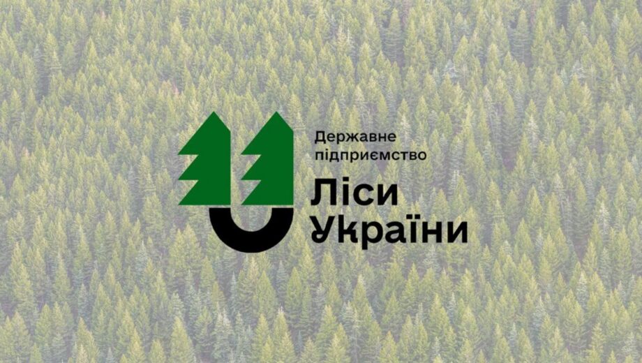 Переможець мільярдного тендеру на пальне для ДП ”Ліси України” підозрюється у звʼязках із рф — Енергетична митниця