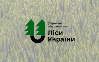 Победитель миллиардного тендера на топливо для ГП »Леса Украины» подозревается в связях с рф — Энергетическая таможня