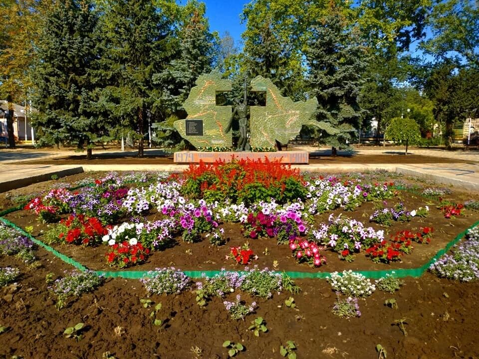 клумба в парке