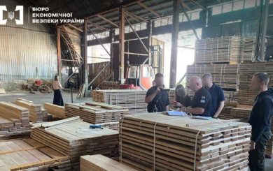 У Києві викрили масштабну схему тіньового експорту деревини: БЕБ провело понад 60 обшуків