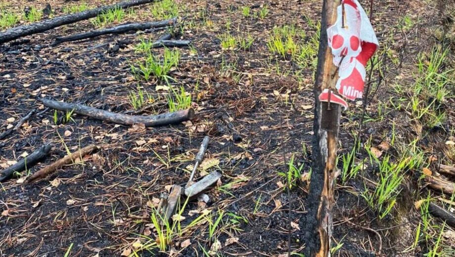У границы с Беларусью взорвались две машины — пятеро погибших