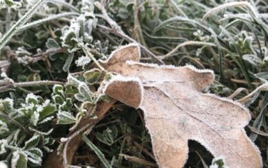 Погода в Україні 21 жовтня: нічні заморозки до -5 °C і денне потепління