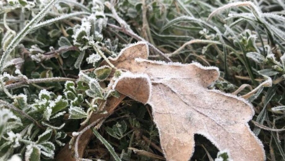 Погода в Україні 21 жовтня: нічні заморозки до -5 °C і денне потепління