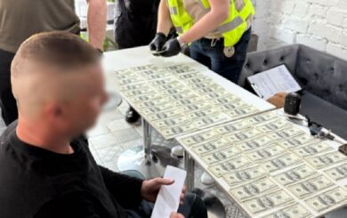 12 тисяч доларів за фальшиве батьківство: викрито схему переправлення чоловіків за кордон
