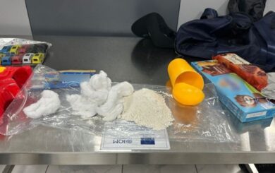 Подпольная нарколаборатория в Одессе: наркотики скрывали в игрушках