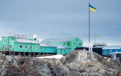 Украинские полярники поделились видео первых дней жизни тюленятка