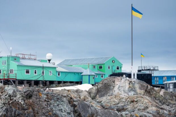 Украинские полярники поделились видео первых дней жизни тюленятка