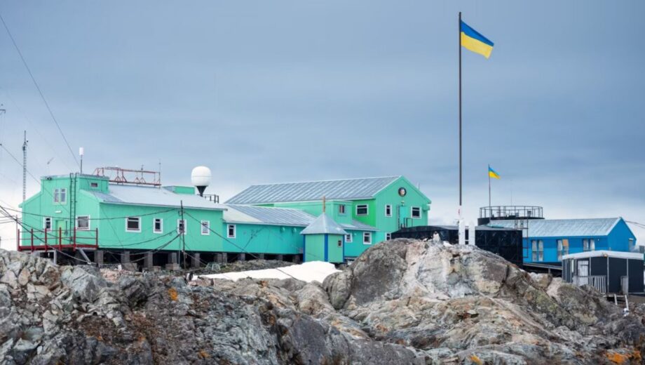 Украинские полярники поделились видео первых дней жизни тюленятка