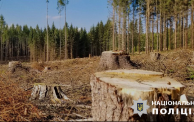 Службовці ”Північної пущі” привласнили 240 тис грн на ліквідації наслідків Чорнобиля, – поліція