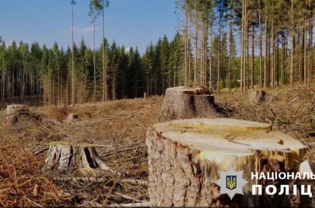 Службовці ”Північної пущі” привласнили 240 тис грн на ліквідації наслідків Чорнобиля, – поліція