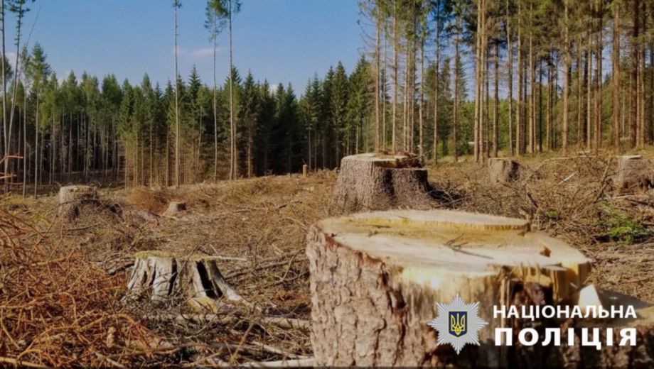 Службовці ”Північної пущі” привласнили 240 тис грн на ліквідації наслідків Чорнобиля, – поліція