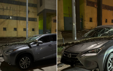 У середмісті Києва на Lexus впала гілка та розтрощила лобове скло (фото)