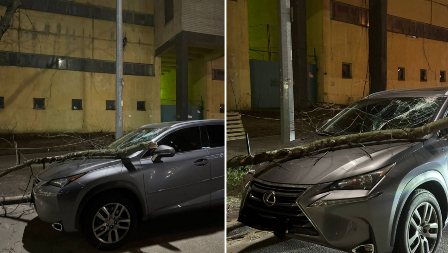 У середмісті Києва на Lexus впала гілка та розтрощила лобове скло (фото)