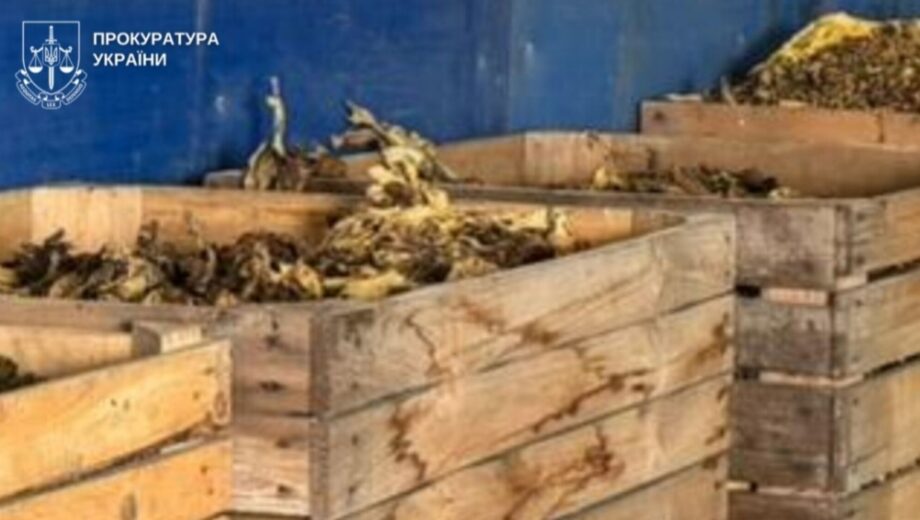 Схема на миллионы: агрария из Буковины подозревается в создании нелегального табачного производства