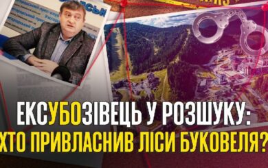 На Кипр через Венгрию: как Михаил Банк избежал повесток и расследований