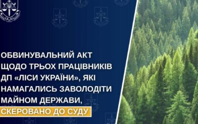 Трех работников »Лесов Украины» будут судить за попытку присвоить древесину на 4,5 миллиона