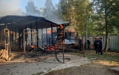 Удар КАБ по »Фельдман экопарку»: ранена волонтер, погибли птицы и пострадали животные