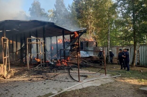 Удар КАБ по »Фельдман экопарку»: ранена волонтер, погибли птицы и пострадали животные