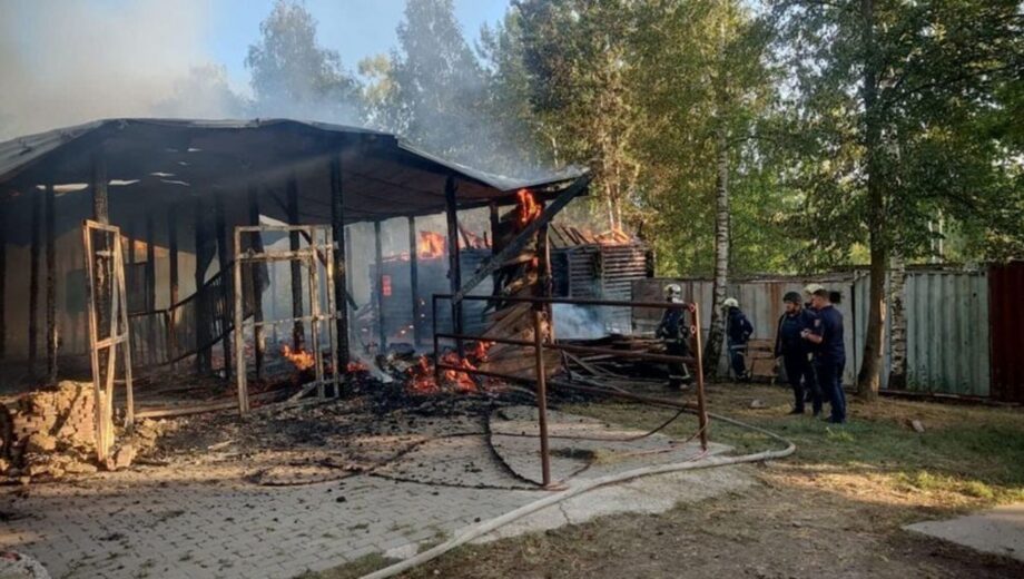 Удар КАБ по »Фельдман экопарку»: ранена волонтер, погибли птицы и пострадали животные