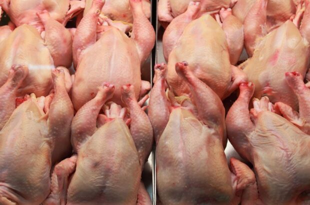 Цены на мясо в Украине растут: что происходит на рынке