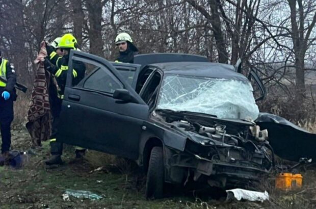 Сколько человек погибло в ДТП в 2024 году: печальная статистика