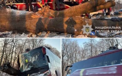 Авария на Львовщине: автобус с пассажирами взлетел с дороги и разбился