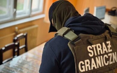 16 фейкових штампів від Євросоюзу: у Польщі викрили дивну знахідку в документах українки