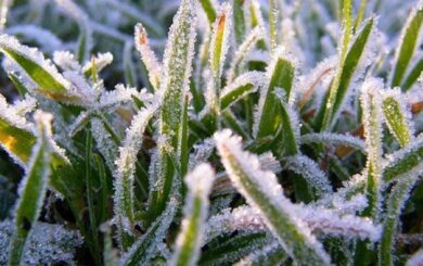 До -13°C у березні: синоптик попередив про небезпечне похолодання та назвав критичні дати