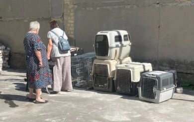 Конфликт в селе в Винницкой области: людей из прифронтовой зоны не пустили из-за собак и кошек