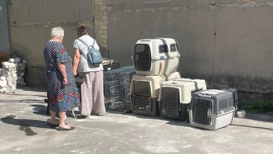 Конфликт в селе в Винницкой области: людей из прифронтовой зоны не пустили из-за собак и кошек