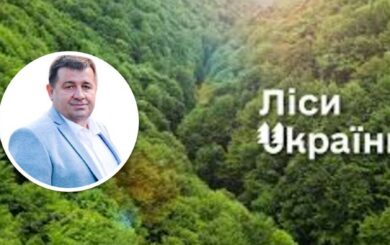 Кумівство в лісовій галузі: син ексдепутата очолив надлісництво батька