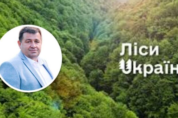 Кумівство в лісовій галузі: син ексдепутата очолив надлісництво батька