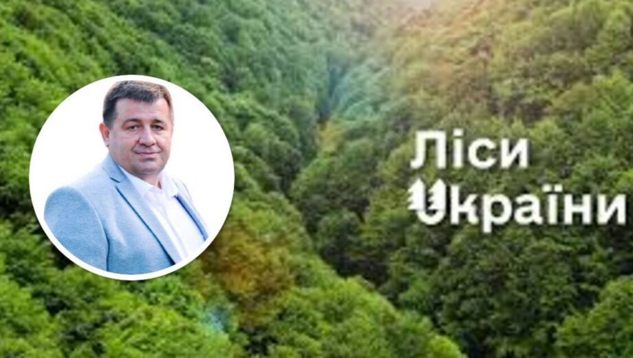 Кумівство в лісовій галузі: син ексдепутата очолив надлісництво батька