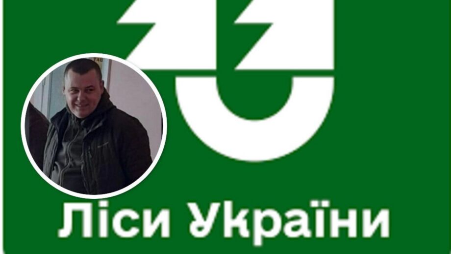 Семейный бизнес и земля на миллионы: как живет семья нового руководителя лесного офиса