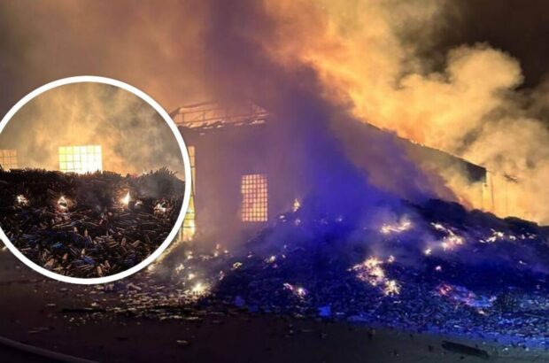 В Белгород-Днестровском районе уничтожено более 100 тысяч бутылок вина из-за атаки дронов