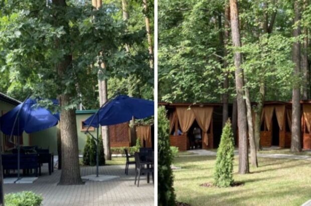 Київрада отримала контроль над ділянкою у Нацпарку після втручання прокуратури