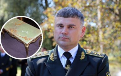 Без торгов и за сотни тысяч: как в Житомирском лесхозе покупали мебель