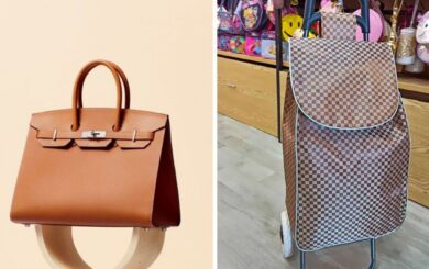 Кравчучка на камеру, Hermès – дома: что задекларировал Тищенко для бывшей жены