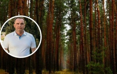 Ліси Полтавщини, елітні статки і бюджетні мільйони: чи є конфлікт інтересів у депутата Івана Гришка?