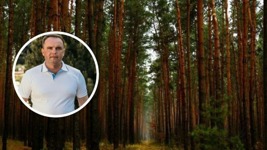 Ліси Полтавщини, елітні статки і бюджетні мільйони: чи є конфлікт інтересів у депутата Івана Гришка?